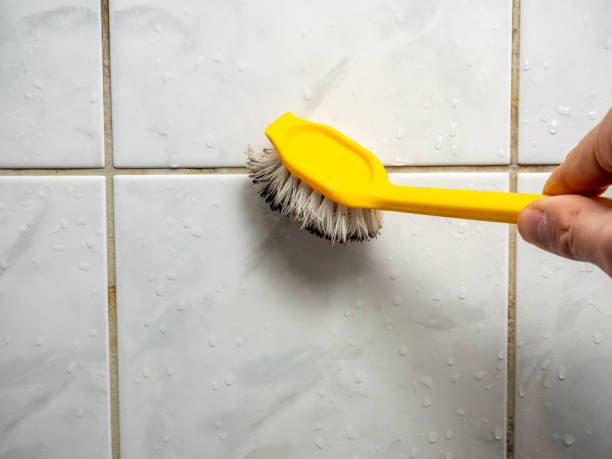 Mold Removal Process in Bad Axe, MI