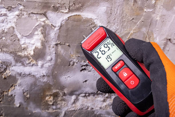 Best Certified Mold Removal  in Bad Axe, MI