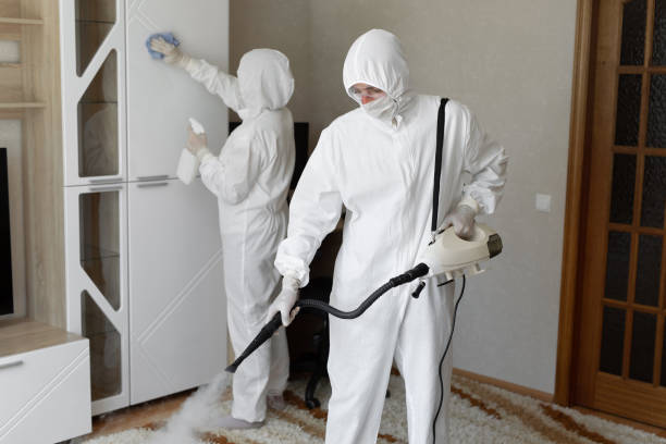 Mold Testing and Removal in Bad Axe, MI