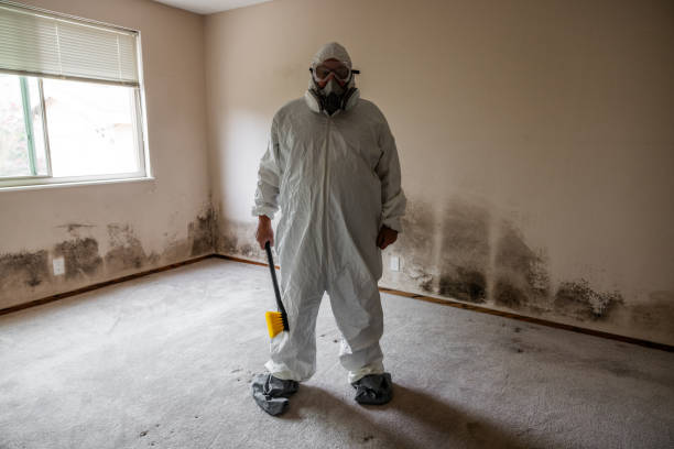 Best Attic Mold Removal  in Bad Axe, MI